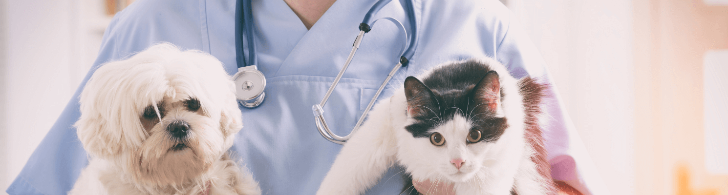Proble Dvm Pre-Vet, Vet School-DVM Forum | Plexuss