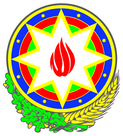 Baku Women's University Logo