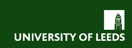 Ural Institute of Marketing Logo