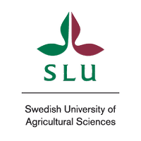 Simmons University Logo
