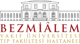 Bezmiâlem Vakif University Logo