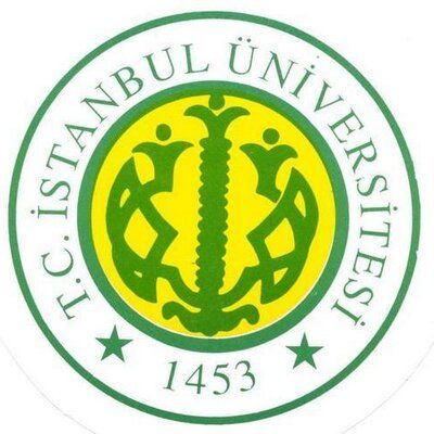 Istanbul 29 May University Logo