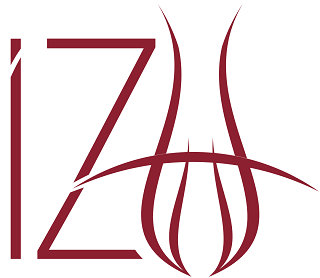 Istanbul Sabahattin Zaim University Logo