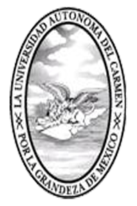 Ciudad del Carmen Branch Logo
