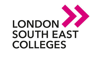 Institute of Higher Studies of the South-East Logo