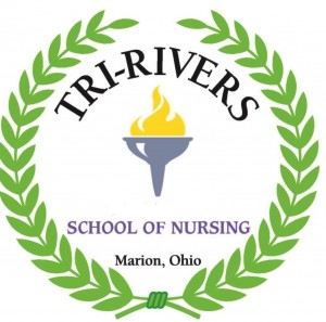 Nursing School of Zamora Logo