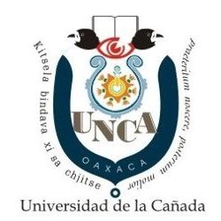 Universidad de la Cañada Logo