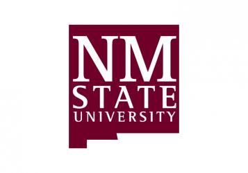 Novena University Logo