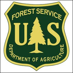 National School of Forestry Logo