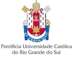 Federal University of Rio Grande do Sul Logo