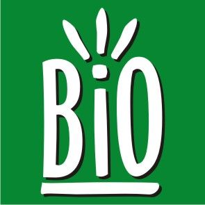 University of Bío Bío Logo