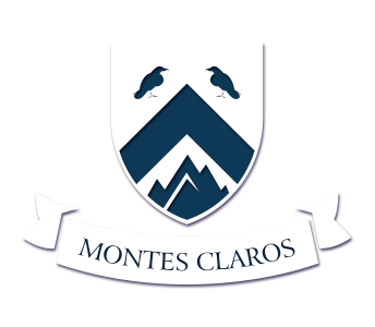 State University of Montes Claros Logo