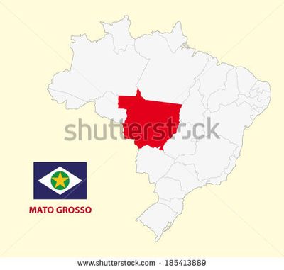 University of the State of Mato Grosso Logo