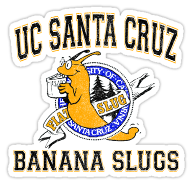 University of Santa Cruz do Sul Logo