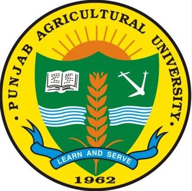 Turkmen Agricultural University Logo