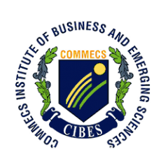 Commecs Institute of Business and Emerging Sciences Logo
