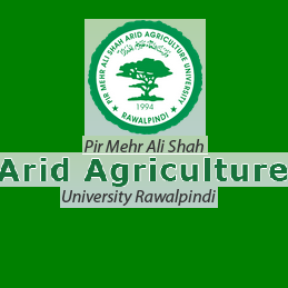 Pir Mehr Ali Shah Arid Agriculture University Logo