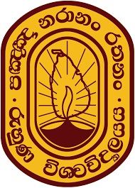 Armavir Social Orthodox Institute Logo