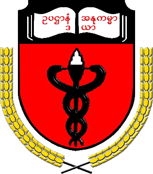 University of Medicine 2, Yangon Logo