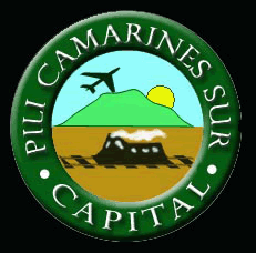 Pili Capital College Logo