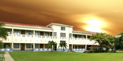 Saint Theresa's College of Cebu Logo
