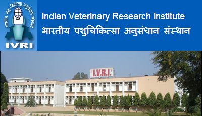 Indian Veterinary Research Institute Logo