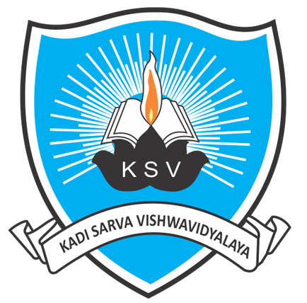 Advanced Professional Institute Logo