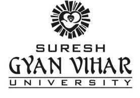 Rio Verde Valley University Logo