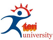 The Interdisciplinary Center Logo