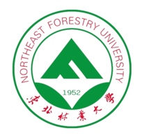 Dwijendra University Logo