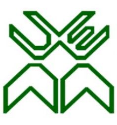 IBAIS University Logo
