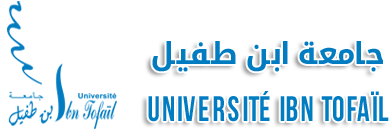 Inner Mongolia University of Science and Technology Logo