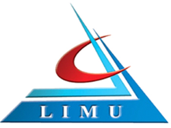 Libyan International Medical University Logo