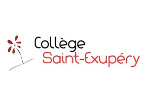 Saint-Exupery French-Gabonese University Logo