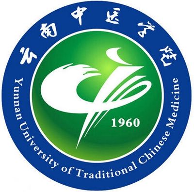 Iskandar Muda University Logo