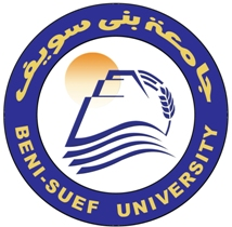 Mediterranean University of  Reggio Calabria Logo
