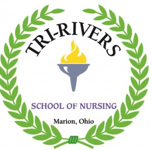 Nursing School of Lisbon Logo