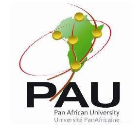 Panafrican University Institute Logo