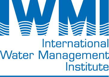 International Institute for Water and Environmental Engineering Logo