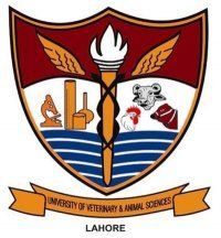 National School of Veterinary Science Logo