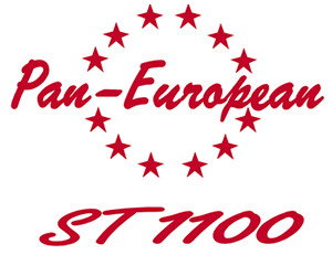 Pan-European university Logo