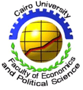 Tjumen State Academy of International Economics, Management and Law (Institute) Logo
