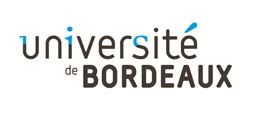 Bordeaux Institute of Technology Logo