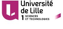 Central School of Lille Logo