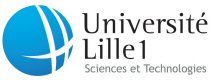 Lille 1 University – National Graduate School of Engineering Chemistry of Lille Logo
