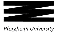Pforzheim University Logo
