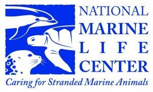National Maritime School – National Maritime School - Nantes Centre Logo
