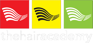Hair Academy 110 Logo