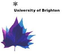 Brighton Institute of Cosmetology Logo