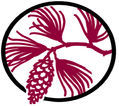 New England School of Photography Logo